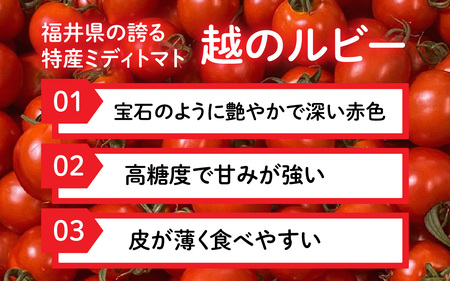 【先行予約】甘くて皮が薄く食べやすい　福井市産ミディトマト『越のルビー』2kg以上【2026年6月上旬より順次発送予定】 [A-180003]/ 福井市産 農家直送 とまと トマト フルーツトマト ミ