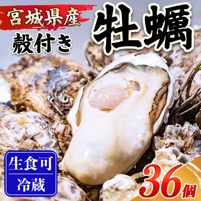 殻付き牡蠣（生食用）冷凍 36個（約3kg） 生牡蠣 宮城県産 牡蛎 牡蠣 カキ かき 生食 オイスター カキフライ 牡蠣鍋 海鮮 国産 魚貝類 バーベキュー BBQ 【末永海産株式会社】sh167