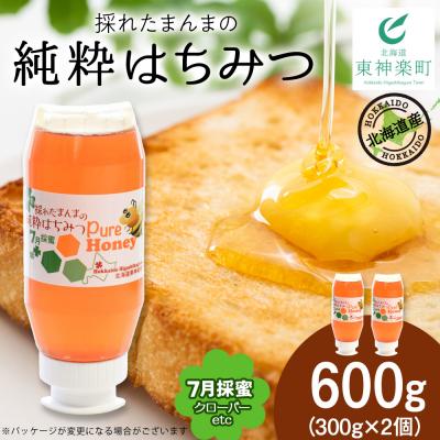 ふるさと納税 東神楽町 東神楽産採れたまんまの純粋はちみつ 300g2個【7月採密】