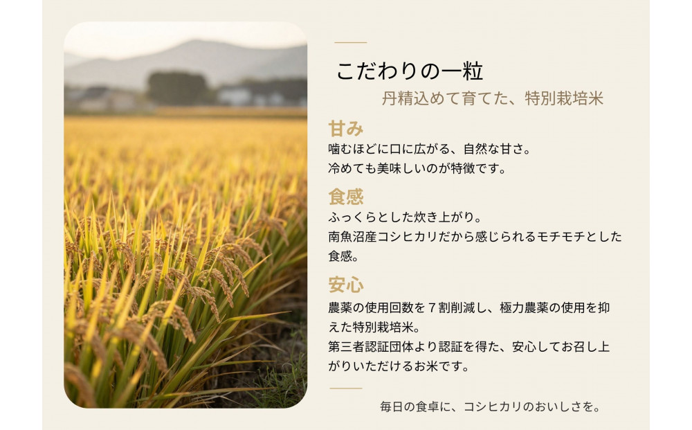 【令和８年産新米予約】 南魚沼産コシヒカリ特別栽培米 白米 15kg(5kg×3)【2026年9月下旬より1ヶ月以内に順次発送予定】