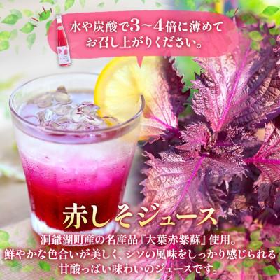 ふるさと納税 洞爺湖町 【毎月定期便】北海道産 赤しそジュース&アロニアジュース[500ml 各1本]全3回 |  | 02