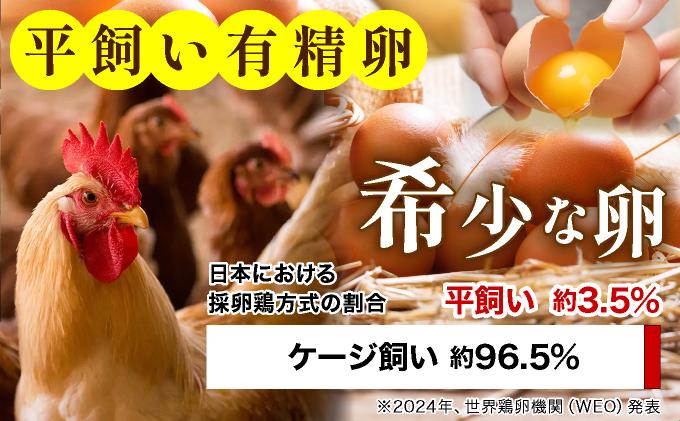 ＜定期便・全6回＞鮮度AA級の世界最高ランク！金太郎卵 平飼い たまご 24個（6個×4パック）