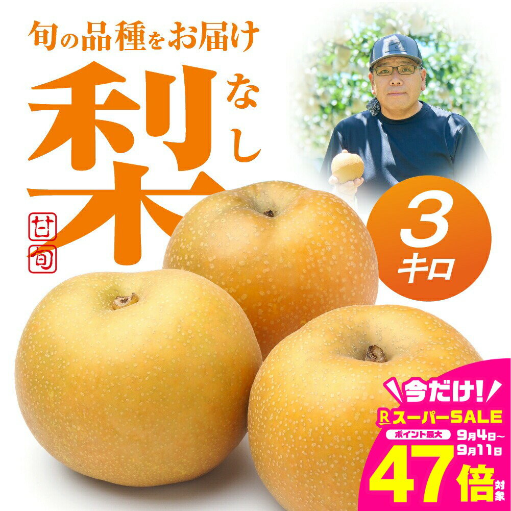 【ふるさと納税】先行予約 朝倉さんの『小島梨』 3kg 高糖度 和梨 糖度12度 以上 8月 9月 5玉〜9玉 フルーツ 果物 なし 梨 幸水、凛夏、秋麗、あきづき、甘太 希少 特別 先行予約 こだわり 楽天限定 道の駅とよはし 先行予約 秋 愛知県 豊橋市