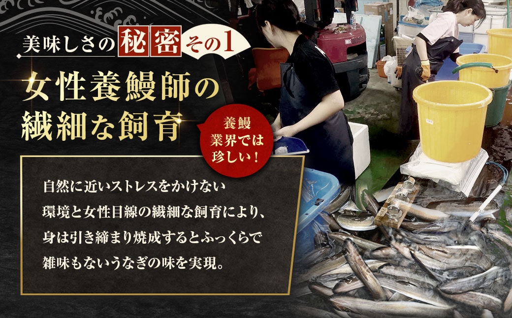 めぐみうなぎ白焼き6尾