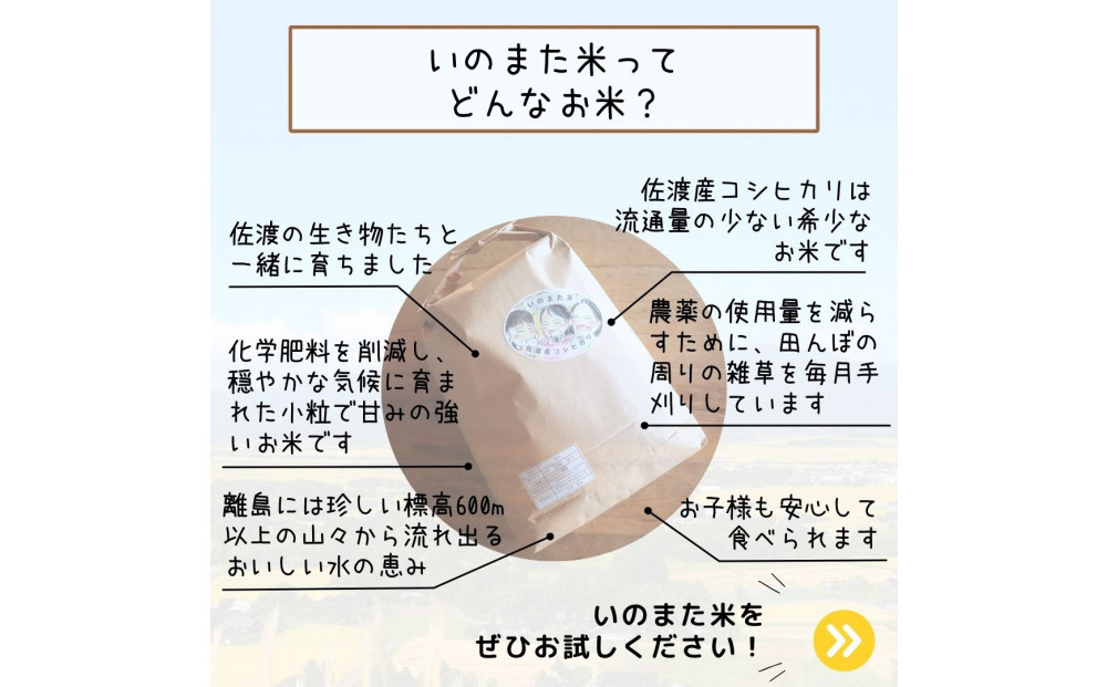 【先行予約】10月中旬以降発送 令和7年産コシヒカリ 精米(無洗米)10kg 農家直送 佐渡市いのまた米