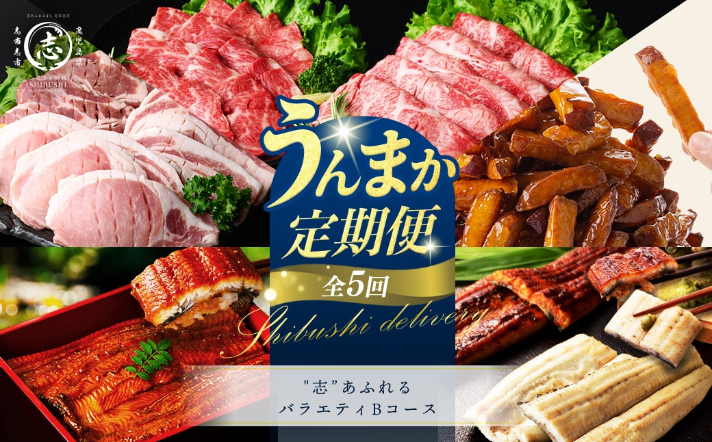 【定期便全5回】"志”あふれるバラエティBコース！志布志うんまか定期便 t0090-009