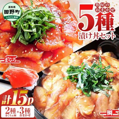 ふるさと納税 田野町 これが魚屋の漬け丼だ!魚屋のおまかせ5種漬け丼セット《鮪+鯛+おまかせ3種》5種×3P　合計15P
