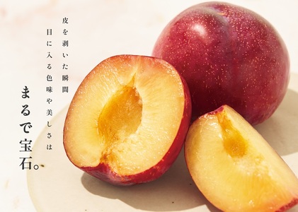 甲州市産 大玉貴陽 3個入り 約800g 自然農法【2025年発送】（BNC）B-488【貴陽 すもも もも モモ 令和7年発送 期間限定 山梨県産 甲州市 フルーツ 果物】