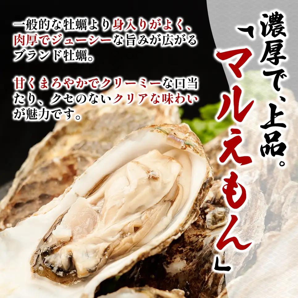 北海道 厚岸産 ブランド牡蠣 マルえもん 殻付き 牡蠣 LLサイズ 30個 【光輝】 [ 魚貝類 生牡蠣 海鮮 海の幸 生食用牡蠣 生食用 生食用殻付き牡蠣 濃厚 甘み  オイスター ]  