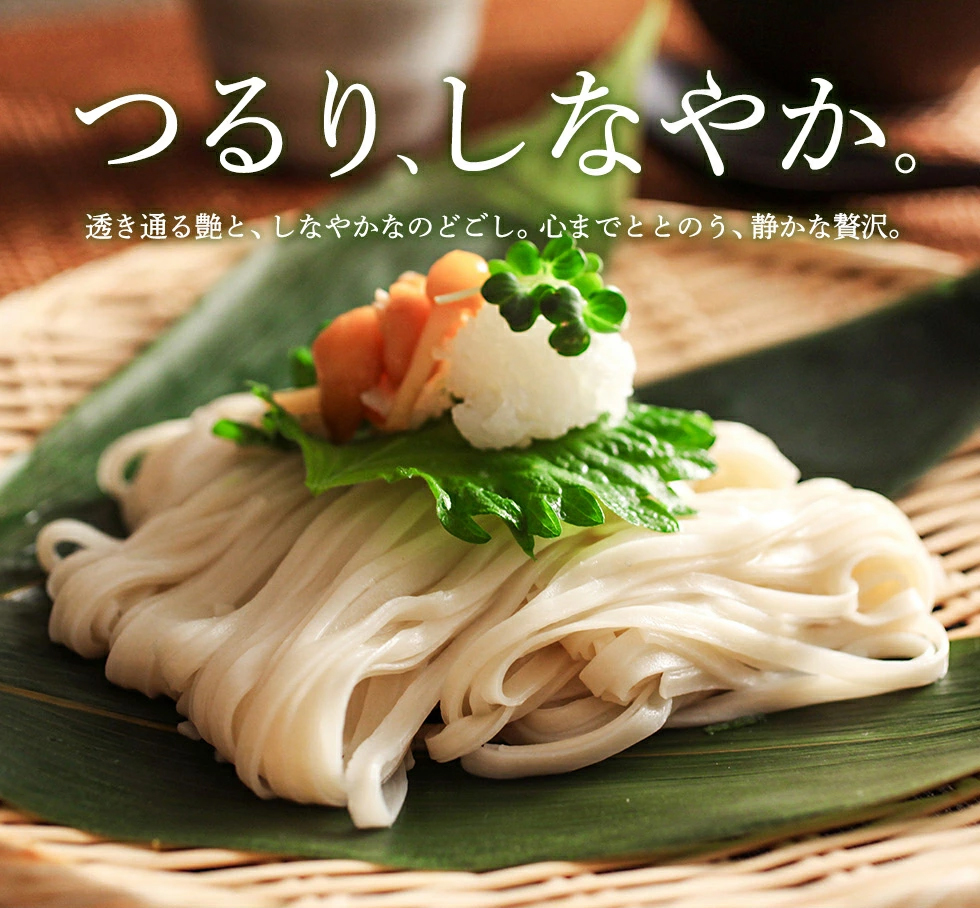 寛文五年堂 稲庭うどん 訳あり 300g×6袋 T-6【寛文五年堂】[B0703]