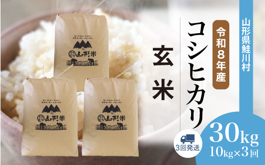 ＜令和8年産米＞ 鮭川村 コシヒカリ 【玄米】 30kg定期便 （10kg×3回発送）＜配送時期選べます＞