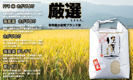 【定期便】 (12ヶ月連続お届け) 大坪精米所 佐賀ブランド米定期便（5kg×12回） 選べる精米率（玄米・3分.5分.7分づき・白米）Q104-001