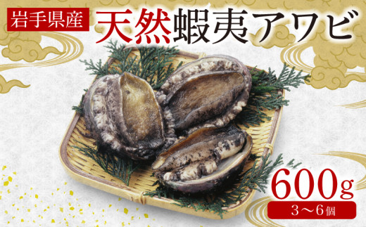 蝦夷あわび 約600g 冷凍 鮑 あわび アワビ 鮑 Abalone ステーキ 刺し身 刺身 バーベキュー  バターソテー 正月 お正月 おせち  BBQ ごはん 夕飯 おかず おつまみ 晩酌 米 丼 海産物 海鮮 魚介 魚介類 贈答品 お中元 お歳暮 テレビ TV 放送 ニュース 番組 大船渡 大船渡市 三陸 岩手県 国産