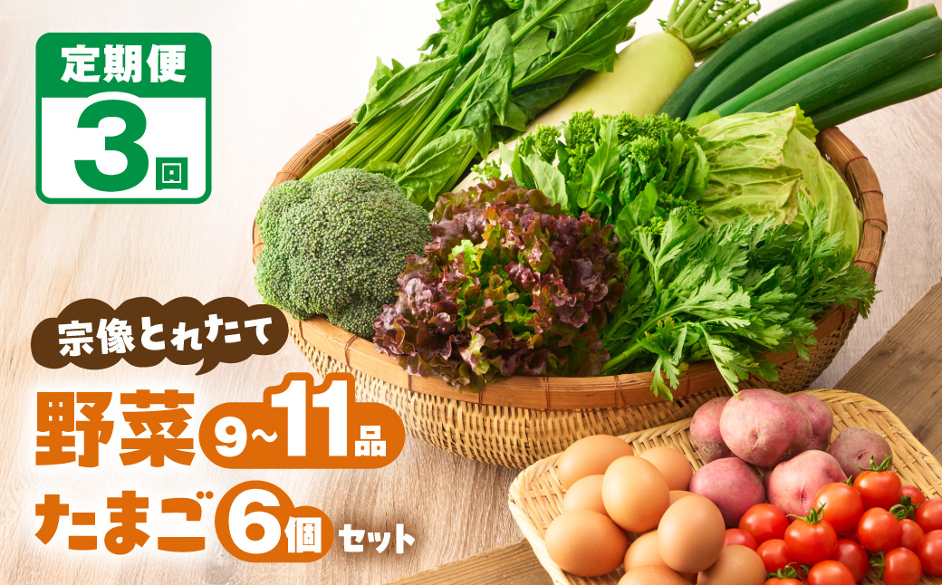 【定期便/3回/毎月お届け】宗像とれたて　野菜とたまごの定期便【オアシス】_HB0081