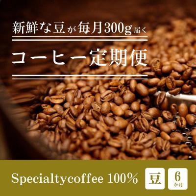 ふるさと納税 豊川市 【毎月定期便】毎月違うコーヒー豆をお届け スペシャルティコーヒー 豆 300g全6回