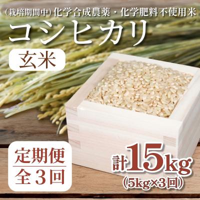 ふるさと納税 小松島市 【令和7年産新米】玄米 定期便 3回 米 コシヒカリ 計15kg 5kg × 3回 お米 おこめ