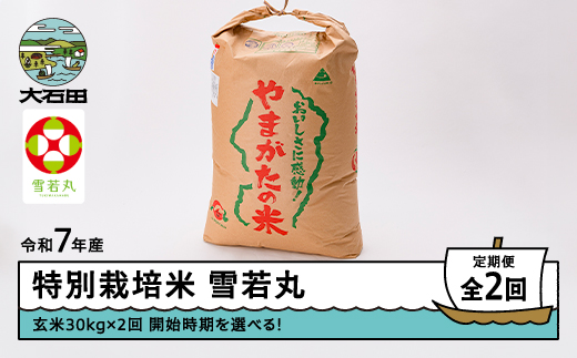 新米 米 令和7年産 【玄米2回定期便】 雪若丸 30kg×2回 2026年4月・2026年7月発送 大石田町産 特別栽培米 玄米 ※沖縄・離島への配送不可 ja-yugxa30x2-tkk4to7