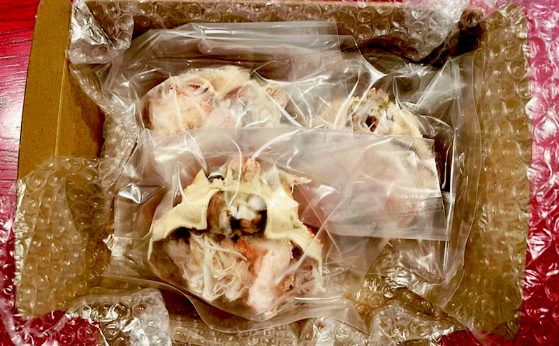 ずわいがに　甲羅盛り　約130g×3個入り 上越市 かに カニ 甲羅 冷凍