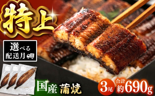 【チョイス限定】鹿児島産 うなぎ 蒲焼 3尾セット 桂川町/山水商事 [ADAH051]