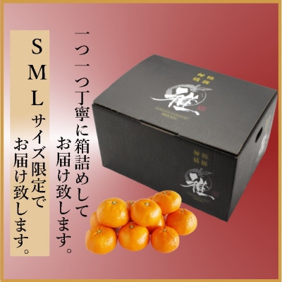 極撰柑橘【雅プレミアム】糖度保証・光センサー合格品「八幡浜温州みかん」約3キロ【C39−63】【配送不可地域：離島】【1614679】