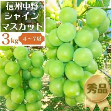長野県中野市産ぶどう・シャインマスカット秀品 3kg箱 4～7房入り【配送不可地域：離島】【1494261】