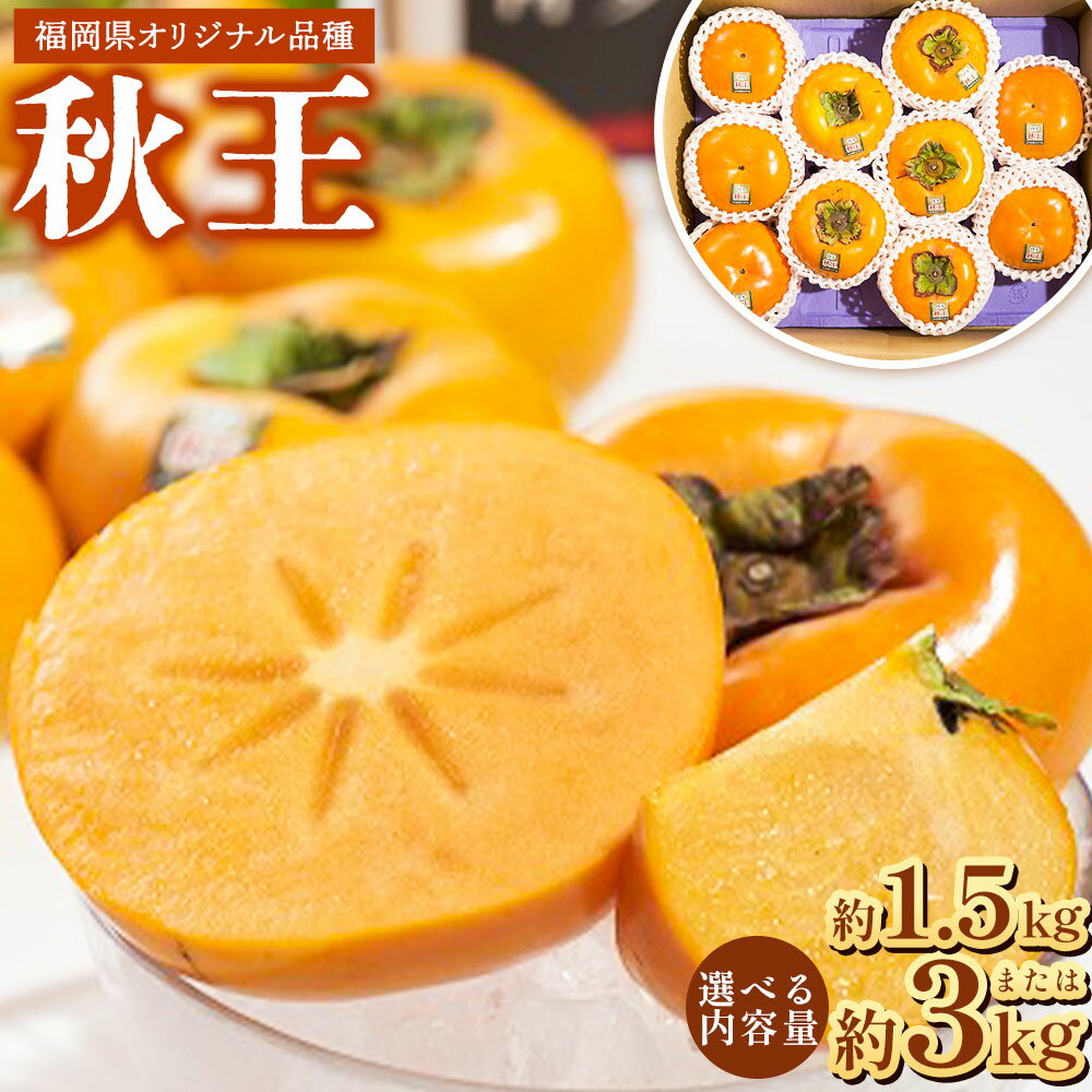【ふるさと納税】＜選べる内容量＞ 福岡県産ブランド柿 秋王 約3kg ／ 約1.5kg （8-12玉／4-6玉） 福岡県 九州産 国産 先行予約 果物 フルーツ デザート おやつ 秋の王様 オリジナルブランド 柿 甘柿 高糖度 甘い 種なし 送料無料 【2025年10月下旬～11月下旬発送予定】