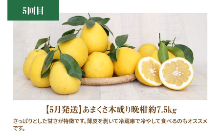 S040-017A_【定期便5回】厳選！天草 下浦地区の農家が愛情込めて育てた柑橘5種〈先行予約〉 / ポンカン 不知火 晩柑 柑橘 みかん フルーツ