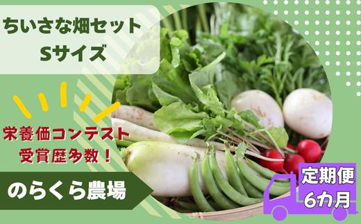 【先行受付・2025年発送】定期便6カ月　有機野菜ちいさな畑セット（Sサイズ　１～２人前）（NK-T521）