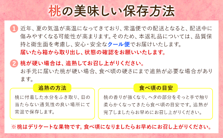 和歌山の厳選白桃【白鳳・清水白桃・川中島白桃 等】化粧箱入り 約2kg 池田鹿蔵農園《7月上旬-8月中旬頃出荷》和歌山県 日高町 厳選 白桃 和歌山県産 白鳳 清水白桃 川中島白桃 桃 もも 果物 フ