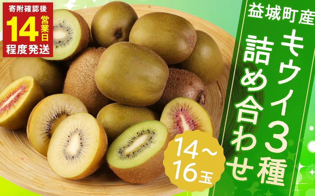 益城町産 特選 キウイ 3種 詰め合わせ 約1.8kg 14～16玉 （各種4玉～6玉）