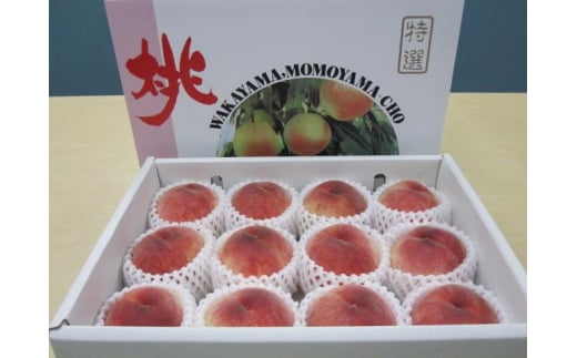 L285　あら川の桃（白鳳、清水白桃、川中島）品種お任せ　約3ｋｇ　10玉～15玉