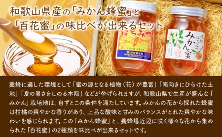 みかん蜂蜜と百花蜜 2種類セット はちみつ