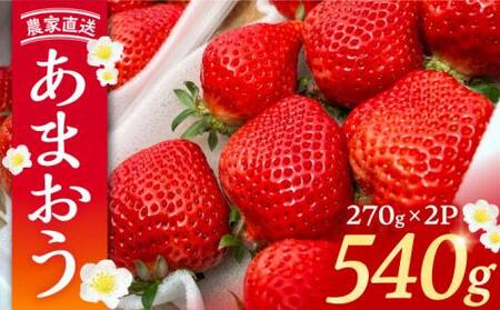 【先行予約】【2月-3月発送】農家直送 あまおう 540g （270g以上 × 2 パック） 土耕栽培《豊前市》【内藤農園】果物 いちご [VAB014]