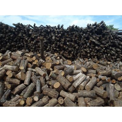 ふるさと納税 小坂町 プレミアムミックス薪  約20kg |  | 01