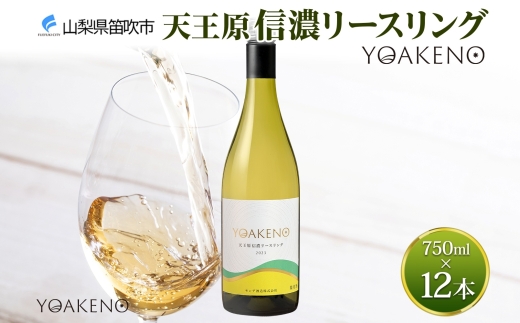 YOAKENO天王原信濃リースリング 750ml×12本177-4-082 |天王原信濃リースリング 白ワイン 12本天王原信濃リースリング 白ワイン 12本天王原信濃リースリング 白ワイン 12本天王原信濃リースリング 白ワイン 12本天王原信濃リースリング 白ワイン 12本|