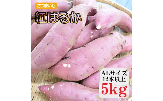 さつまいも【紅はるか】ALサイズ5kg（12本以上）