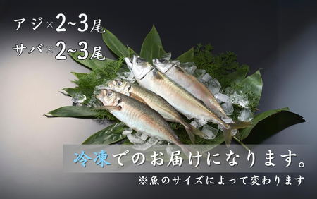 【鮮魚詰め合わせ】アジ・サバセット 脳締め アジ2-3尾 サバ2-3尾 鯵 あじ 鯖 さば 冷凍アジ・サバ 新鮮アジ・サバ 海鮮 大きい