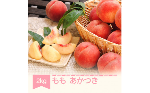 【先行予約】もも 桃 あかつき 約2kg 令和七年産 2025年産 果物 mm-moatx2