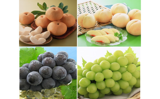 環-17【先行予約】岡山県産　旬のくだもの定期便　3回