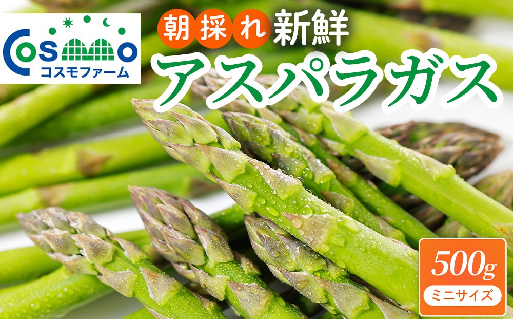 
                  朝採り新鮮アスパラガス 500g【ミニサイズ】 | 野菜 アスパラガス グリーンアスパラ 旬 とれたて  春野菜 春 朝採り 朝採れ とれたて 新鮮 みずみずしい サラダ 甘い お取り寄せ 産地直送 冷蔵 岐阜県 瑞穂市
                