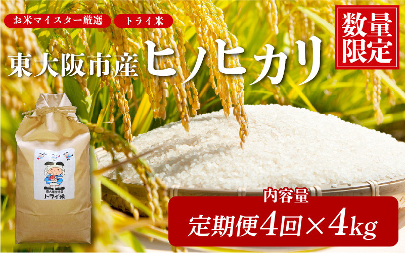 
                  【 定期便 全4回！】東大阪市産 ヒノヒカリ 令和7年度産 4㎏ お米マイスター厳選 トライ米 月1×4回【 お米マイスター厳選 米 お米 白米 コメ ひのひかり 精米 新生活 応援 スピード配送 】
                