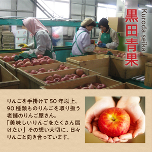 【2026年2月前半発送】紅玉10kg 程度 紅玉リンゴ 訳あり 青森|タルトタタン に最適 不揃い りんご