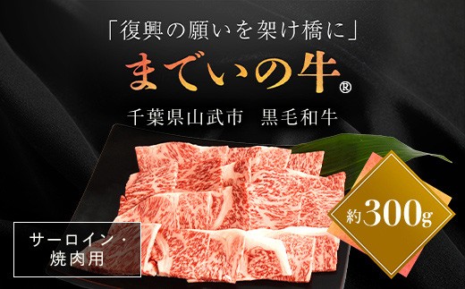 
                  【約300g・サーロイン・焼肉用】山武牛「までいの牛」 【ふるさと納税 人気 おすすめ ランキング 牛肉 山武牛 までい牛 サーロイン 焼肉 山武市 復興 福島 飯舘村】 ITTAK002
                