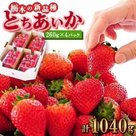 『葛生農場』新鮮!!栃木の新品種　『とちあいか』(260g×4パック)_いちご 苺 フルーツ 果物 くだもの とちあいか 栃木 新品種 人気 おすすめ 送料無料 ギフト 贈答 4パック_【配送不可地域：離島】【1385999】