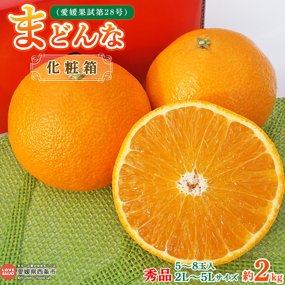 【ふるさと納税】＜まどんな 約2kg 化粧箱入り 秀品（2L～5Lサイズ 5～8玉）＞ ※2026年12月初旬～2027年1月中旬迄に出荷 愛媛果試第28号 みかん ミカン 蜜柑 まどんな マドンナ 高級柑橘 果物 フルーツ プリンセスファーム 鴻上農園 愛媛県 西条市【常温】