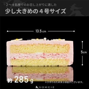 【着日指定可】クリスマスケーキ センイルケーキ  4号 直径13.5cm 2人～4人分 285g 【クリスマス飾り付】【パステルピンク】 スイーツ ギフト | デザート ケーキ お菓子 洋菓子 冷凍 