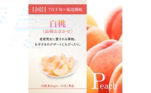 ≪先行受付≫ 【2026度年発送】山形豊作フルーツ人気Ｂ【定期便全3回】