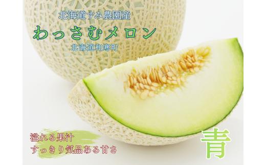 【ふるさと納税】≪令和８年産予約≫わっさむ産メロン（青肉2玉）【7～8月お届け】