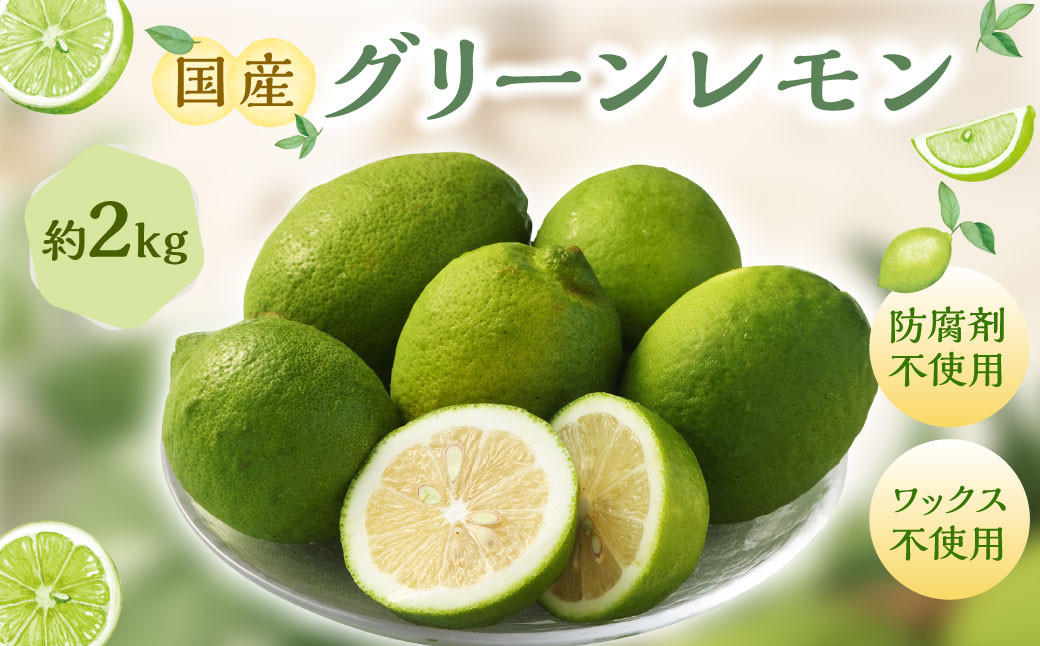 
            国産グリーンレモン 2kg【2026年10月上旬-11月下旬まで順次発送予定】 ｜フルーツ 果物 グリーンレモン レモン 柑橘 れもん 檸檬 国産 静岡県 菊川市
          