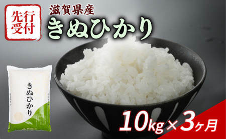 米定期便 令和7年産 きぬひかり 10kg×3ヶ月 米定期便 米定期便 米定期便 米定期便 米定期便